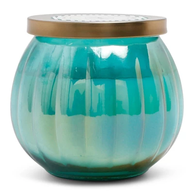 14oz Lidded Glass Jar Candle Driftwood & Sea Salt - Fresh Collection - Opalhouse™ 1 14oz Lidded Glass Jar Candle Driftwood & Sea Salt - Fresh Collection - Opalhouse™